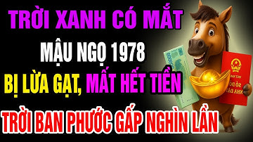 Trời Xanh Có Mắt, Mậu Ngọ 1978 Bị Lừa Gạt Mất Hết Tiền Bạc, Cuối Đời Trời Ban Phước Gấp Vạn Lần