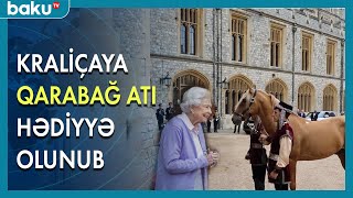 Kraliça Yelizavetaya Qarabağ atı hədiyyə olunub - BAKU TV Resimi