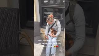 Welcome To Catstanbul