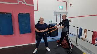 Perturbation Training