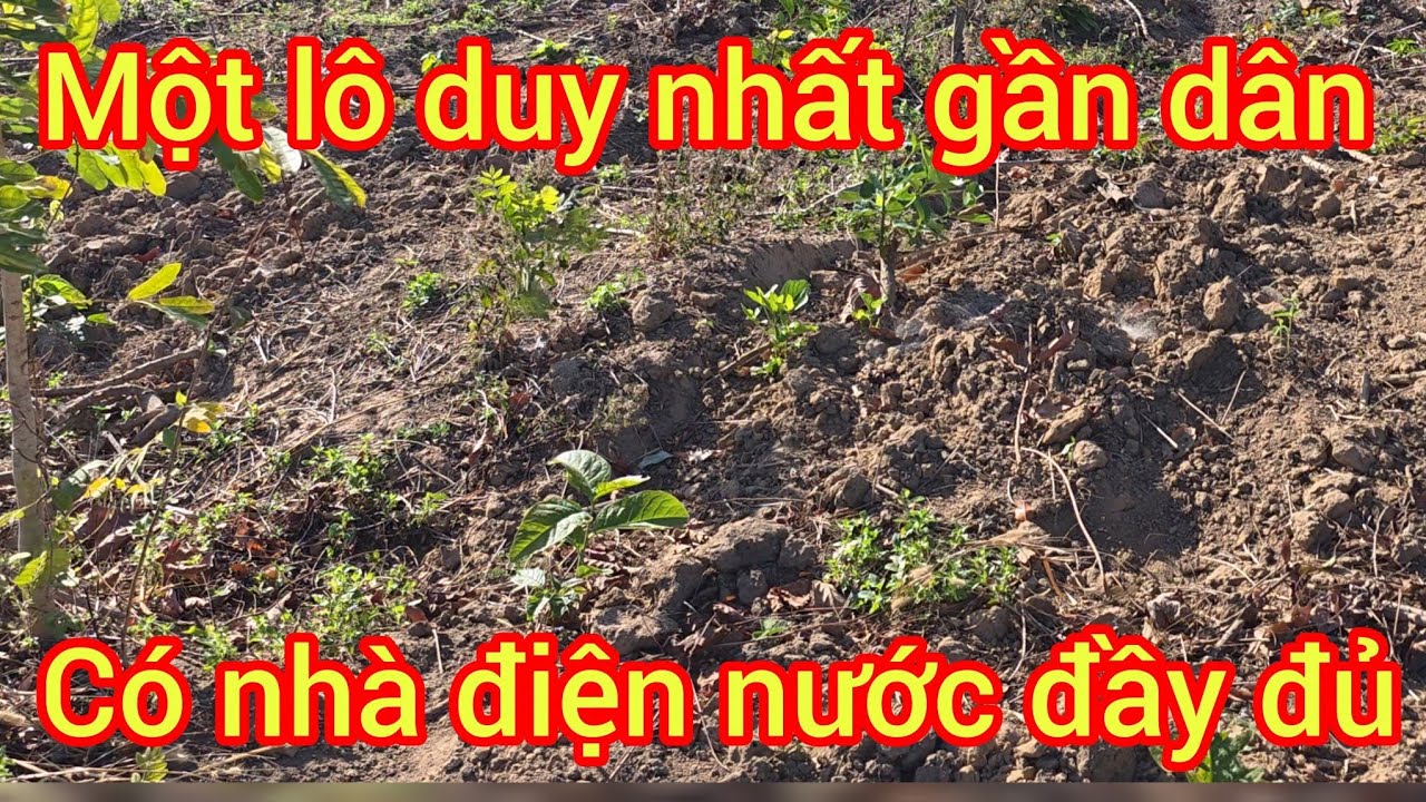  Đã chốt đen ngay dân cư trồng được cà phê có mọi tiện ích lh 0372791933