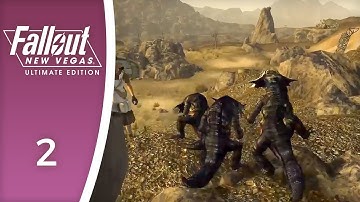 Geckos, geckos everywhere - Let