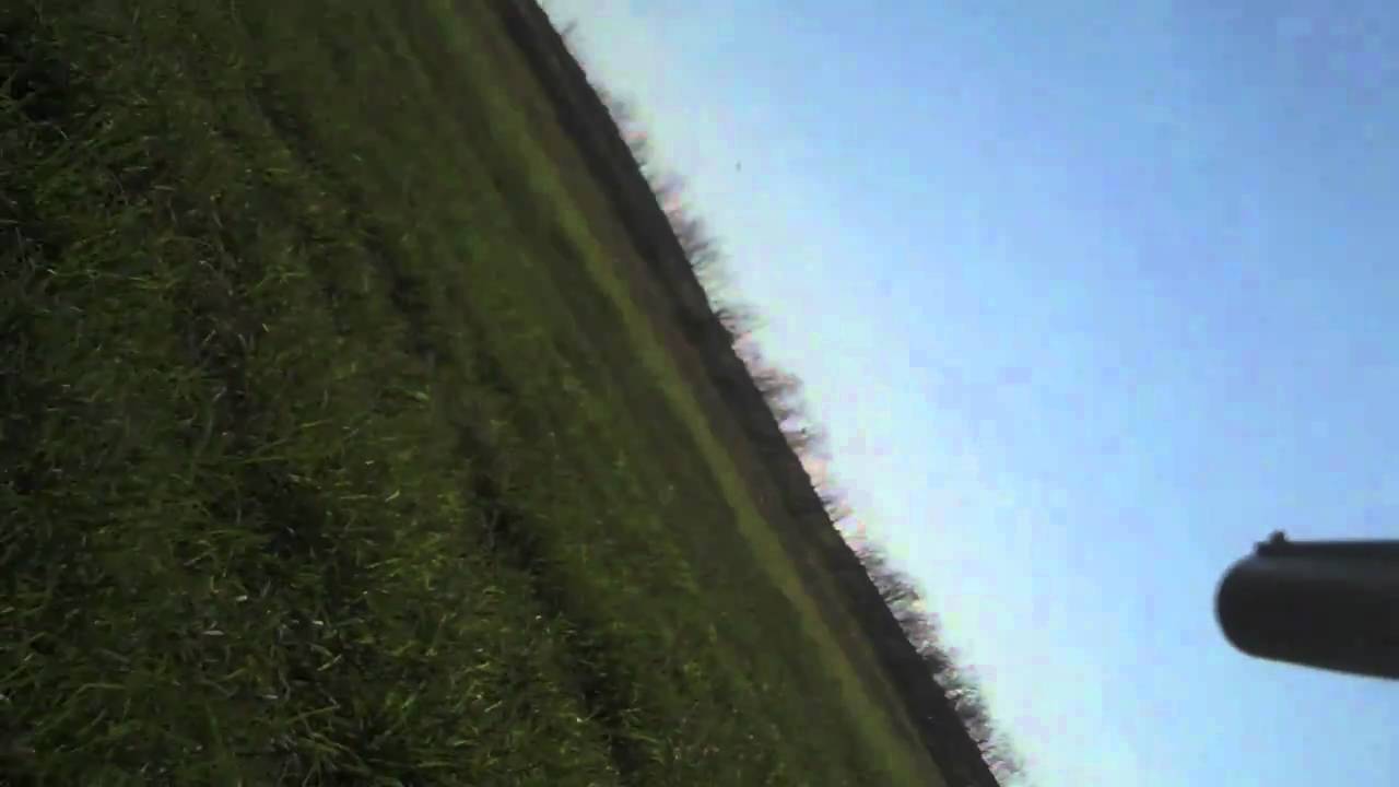 Pearsall dove hunt 1 YouTube