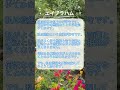 【エイブラハム】些細な魔法 | 1分ランページ