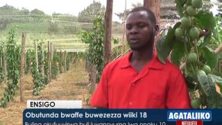 Obutunda Bwaffe Buwezezza Wiiki 18