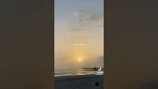 Dolaşalım Kumsallarda Resimi