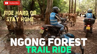 Kibo Group Ride With CEO/ part 4 ( Ngong Forest Trail Ride )