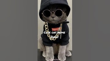 Cute cat name ideas #cat #animal #catlover #aesthetic #shorts