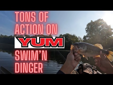 TONS of ACTION on YUM SWIM'N DINGER! 