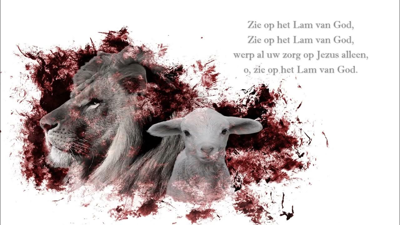 Zie op het Lam van God