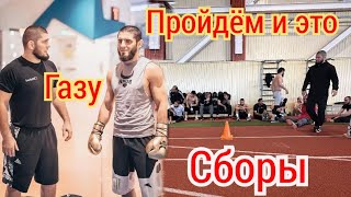 Хабиб пашет: Ислам газу Золотые перчатки на UFC 302 / Тагир наводит суету Мачаев парням Дагестана 🤔