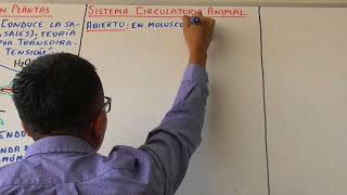 Biología 7 Sistema Circulatorio y Sistema Excretor - Pedro Pedrozo Biología 7 Sistema Circulatorio y Sistema Excretor - Pedro Pedrozo