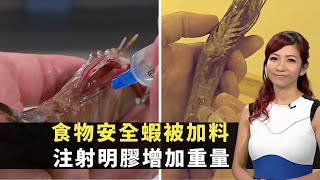 東張西望食物安全蝦被加料注射明膠增加重量明膠蝦賣相更佳不易察覺李潤庭 朱凱婷