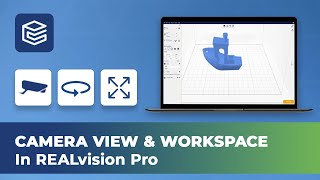 Camera view and workspace in REALvision Pro