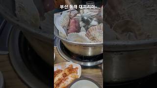 조개찜 맛집 대끼리아~~ #shorts #조개찜 #부산동래