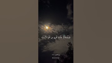 سورة التحريم قارئ ماهر المعيقلي ❤️🫴 #قرآن #ماهر_المعيقلي #رمضان_يجمعنا #القدس #استغفر_الله