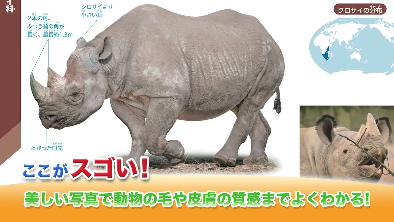 収録数No.1！約840種掲載『学研の図鑑LIVE 動物 新版』が発売! | （株