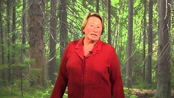 Fair Mining Collaborative on Environmental Assessments