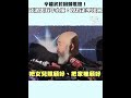 辛龍重返歌壇