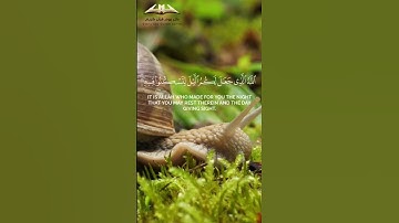 آيات بينات من الذكر الحكيم #اكسبلور #ياسر_الدوسري #القزابري #راحة_نفسية #المصحف