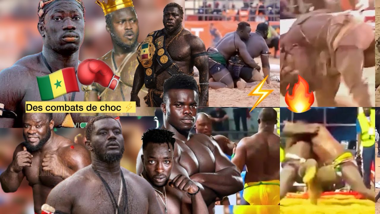 Les combats de choc ⚡️ Modou Lo balla gaye2 siteu eumeu sene franc Sa thies Ama balde Etc… 🔥🥵🇸🇳🥊💪🏼