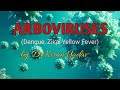 Microbiology lectures|Arboviruses ll|Dengue fever microbiology | Yellow Fever microbiology |