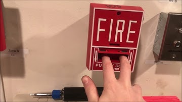 Notifier AFP-200 Test 2: Request Test-Dale Nuss