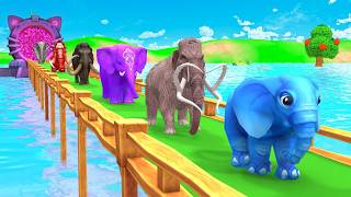 Paint Animals Mammoths and Elephants Size Comparison Fountain Crossing Animal Game Transformation