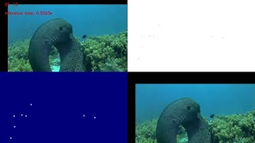 Fish Counting in Computer Vision | Đếm Cá trong Thị giác Máy tính