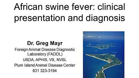 African Swine Fever (ASF): Clinical Presentation and Diagnosis - DayDayNews