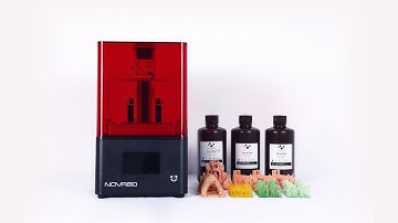 Nova3d Bene4: What does Nova3d New MSLA printer look like