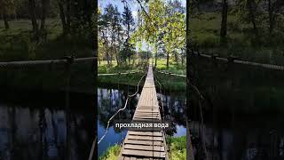 Двухэтажный дом 10 километров от Пскова, направление на Санкт-Петербург #псков #недвижимость #жильё