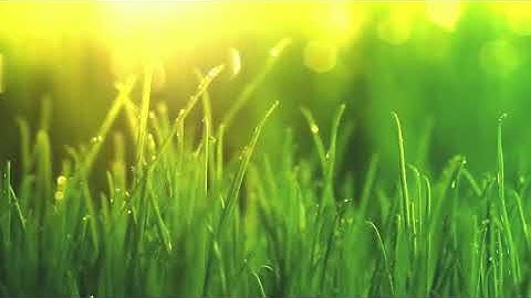 Kecapi Suling Sunda - Walang Sungsang relaxing music