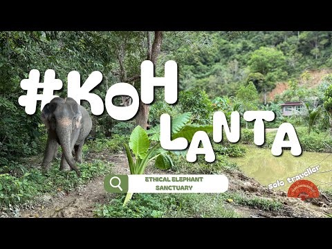 KOH LANTA Travel Vlog , Thailand | Ethical Elephant Sanctuary & Local Life 🐘 (# 1)