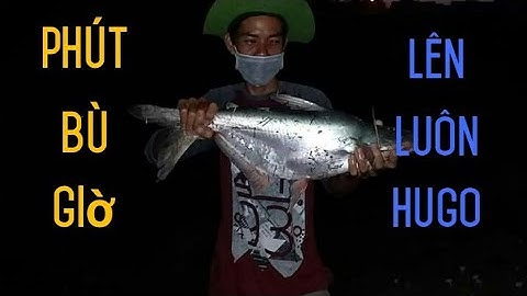 Câu cá trên sông gò công phút bù giờ ngày noel lên luôn hugo khủng | cá tra khủng | săn bắt gò công