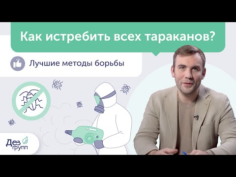 Уничтожение тараканов: как истребить? Грамотная обработка от тараканов | Дезинсекция | Дезинфекция