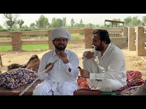 Anjum Saroya Di Mulaqat Awais Ghuman Sialkoti Naal Anjum De Dare Ty انجم سرویا تے اویس گھمن