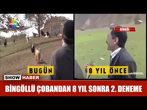 Bingöllü çobandan 8 yıl sonra 2. deneme