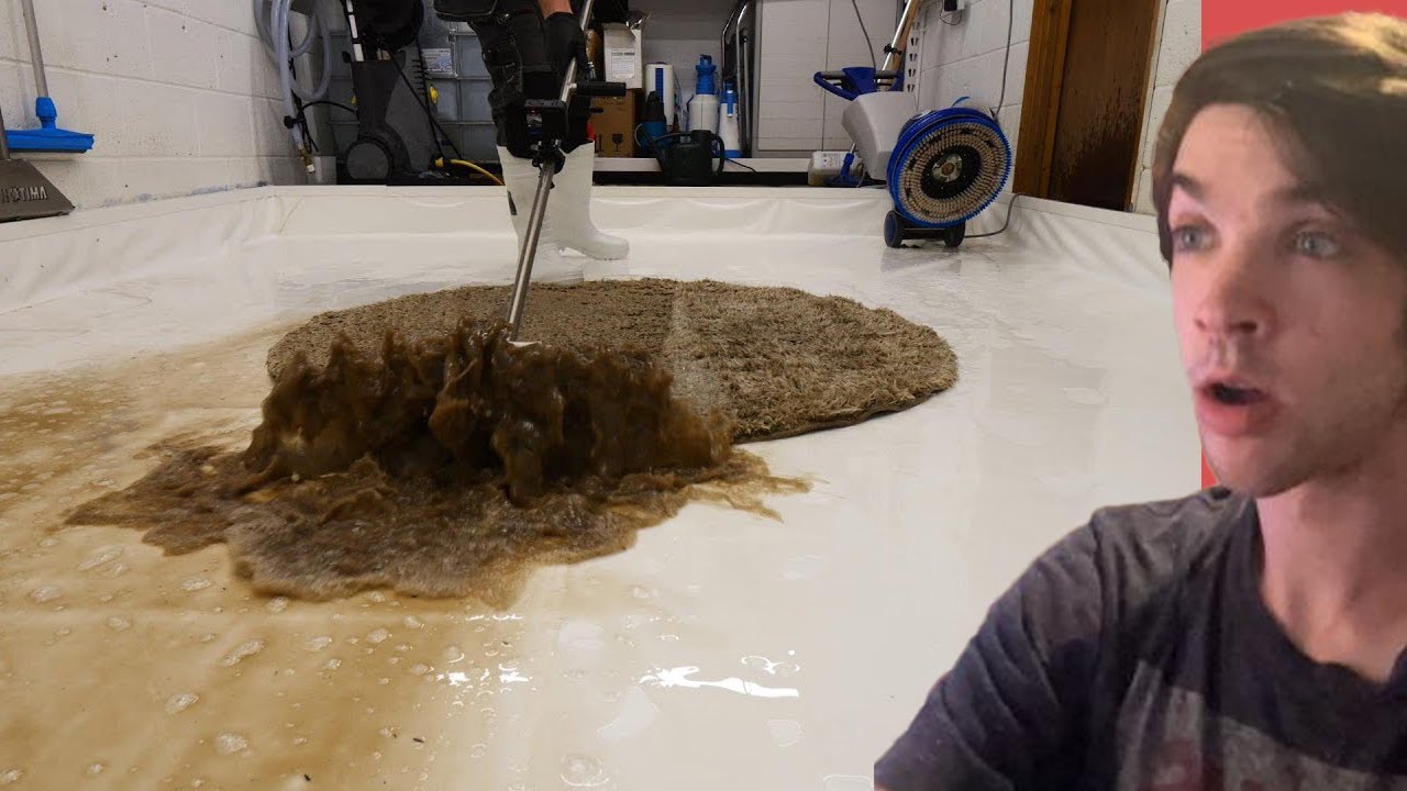 SATISFYING Rug Cleaning Videos YouTube