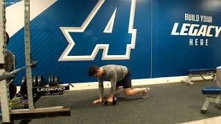 Bear Crawl Position 1 DB Row
