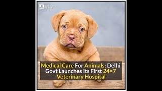 govt dog clinic near me