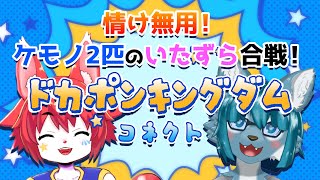 【コラボ配信】ドカポンキングダム コネクトで、4匹のケモノが何でもアリのいたずら合戦！【明乃花ニコ / 優うっつー/らぎ/秋の余りもの】