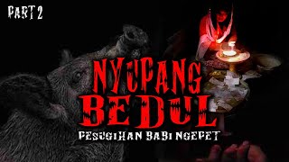 NYUPANG BEDUL  / part 2 (Pesugihan Babi Ngepet)