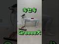 『GReeee犬』#GReeeeN #キセキ #鍵盤ハーモニカ