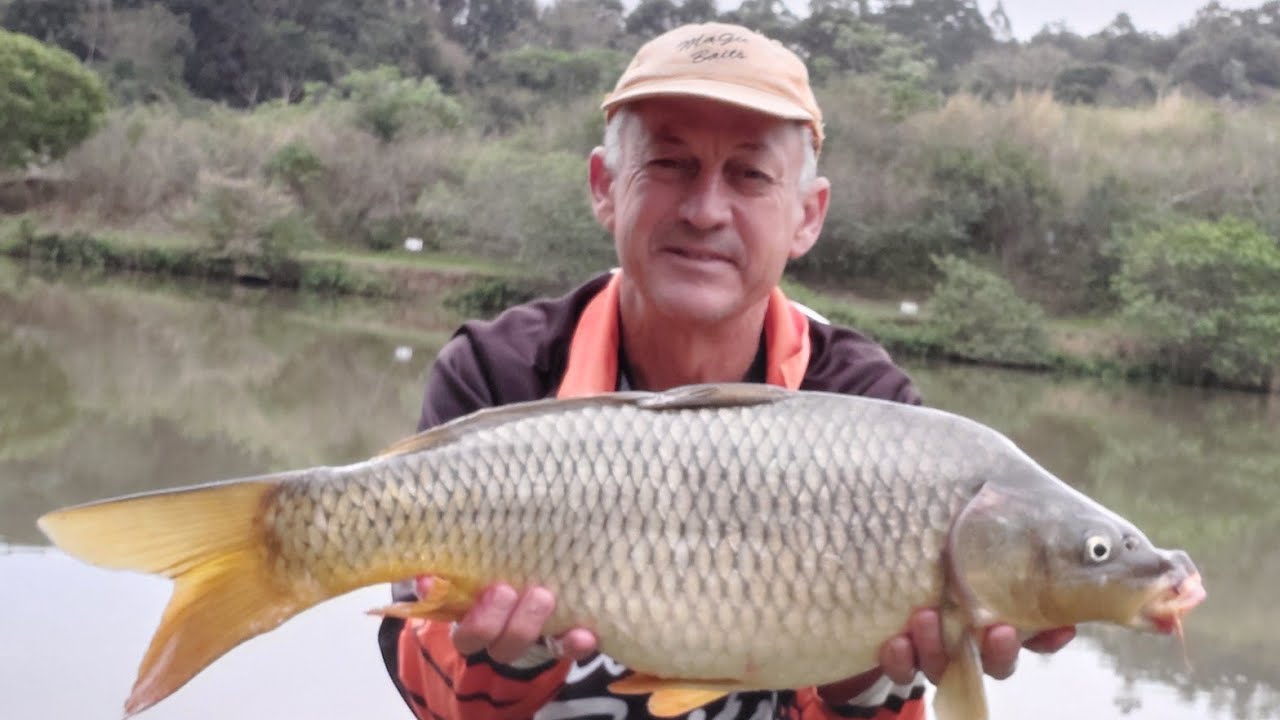 100. Объявлен победитель 🙌, приманки H.E.P и многое другое.