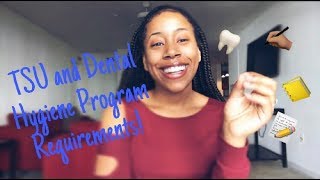 TSU and the Dental Hygiene Program Requirements! || VERY DETAILED