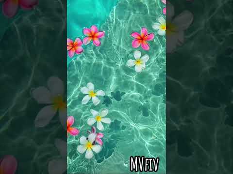 Jul - j'ai tout su (speed up)