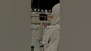 ليتني في سرب الحمام 