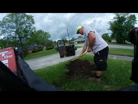 Tree Life 1 904 584 TREE ROGER WALDMAN RAYCO RG50 STUMP GRINDER 360 ...