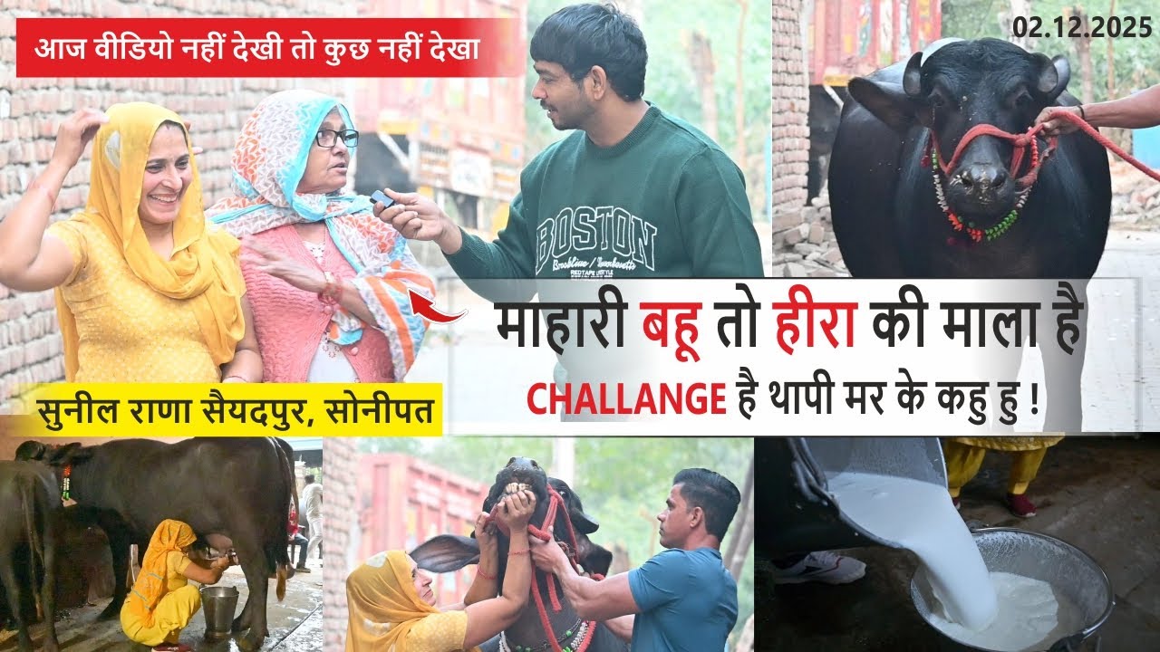 Моя невестка – бриллиантовое ожерелье. Я бросаю тебе вызов, я скажу это после смерти! СУНИЛ РАНА ...